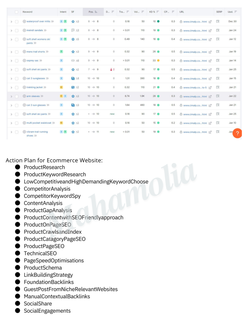 SEO 4d Portfolio